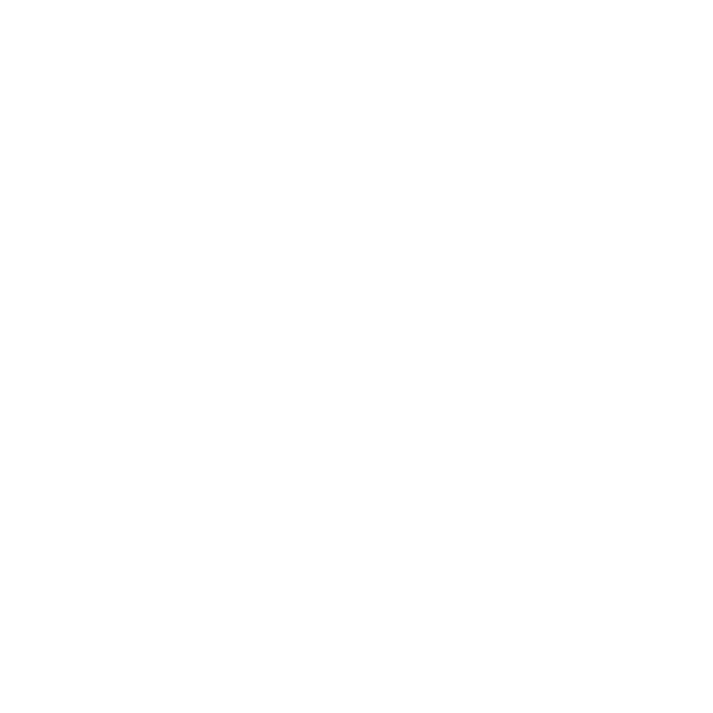 LogoSNB-Blanco