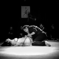 Perfo No Shibari